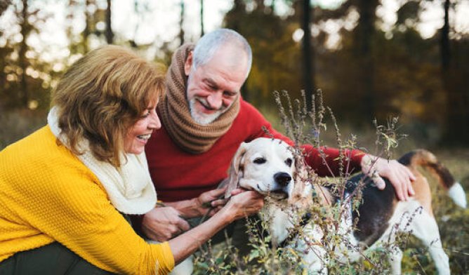 Illustrasjonsfoto: Av mann og dame i skogen med hunden sin