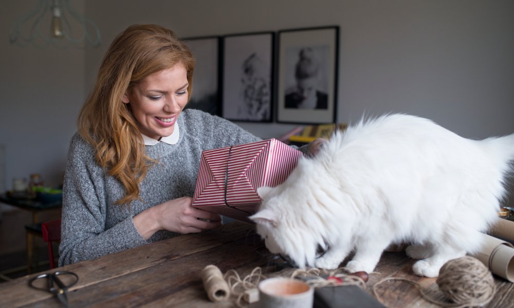 Dame som sitter ved et rustikk bord og pakker inn en julegave mens en katt går på bordet